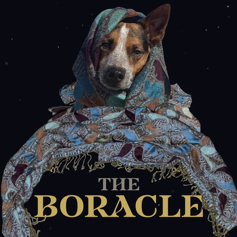 The Boracle — site hero